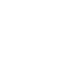FAST DELIVERY